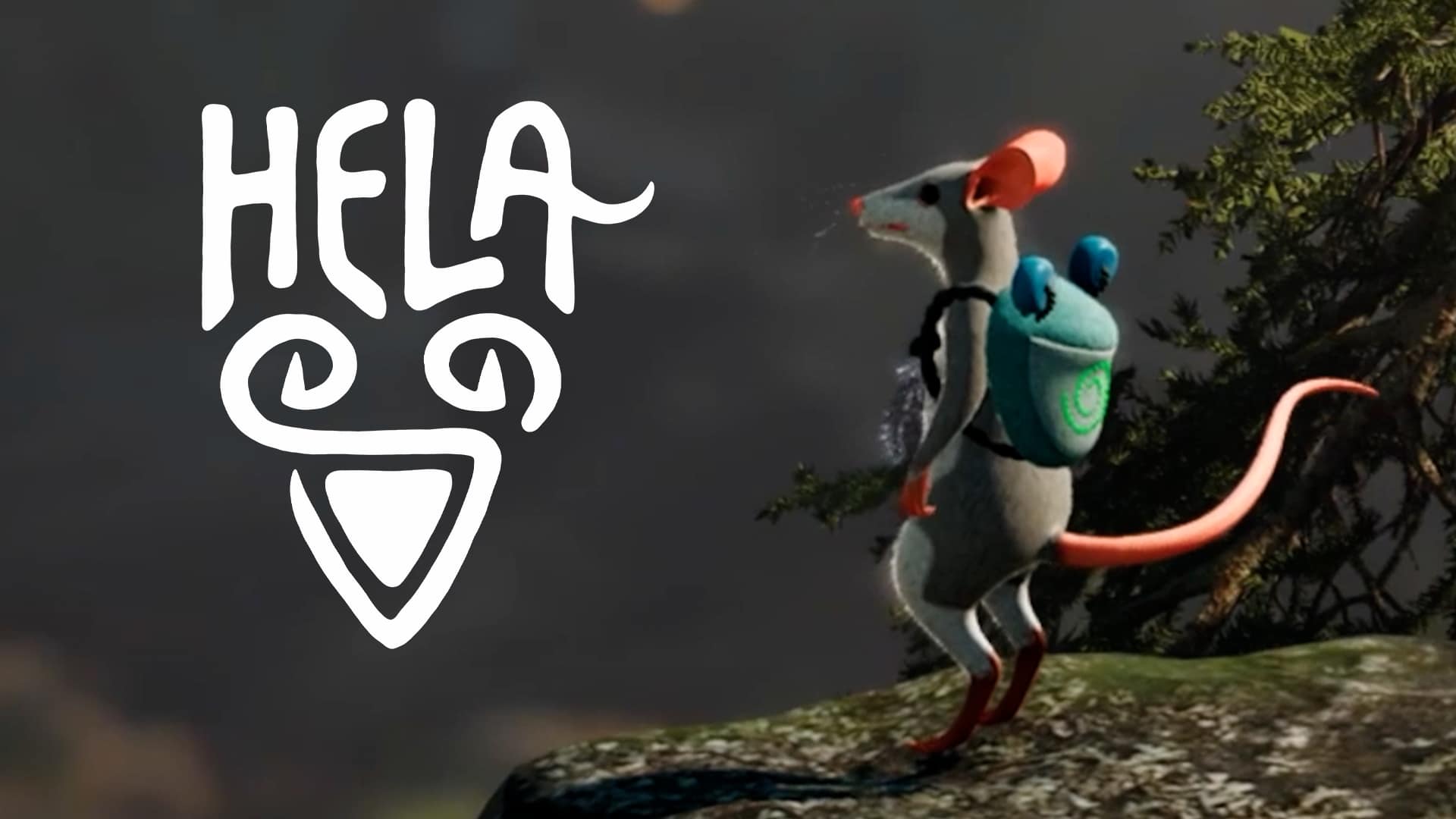 Hela Deep Dive zu Froschrucksack